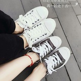 暖蟋爱玩国内