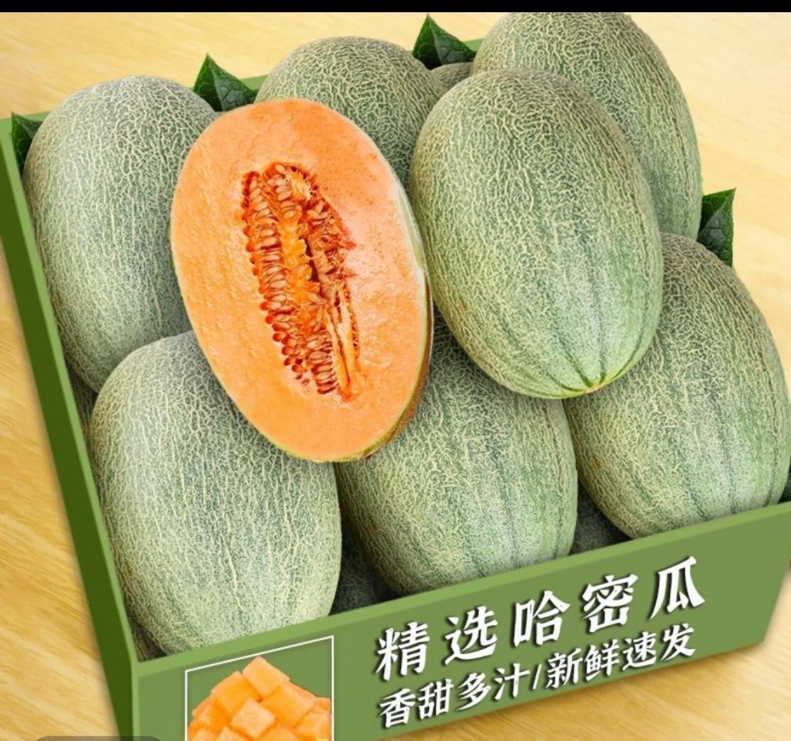 五套！留根儿！骑士vs活塞nba季后赛