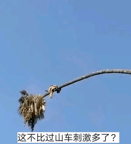 果然外国人少是有原因的，这该死的的挑战欲[机智]