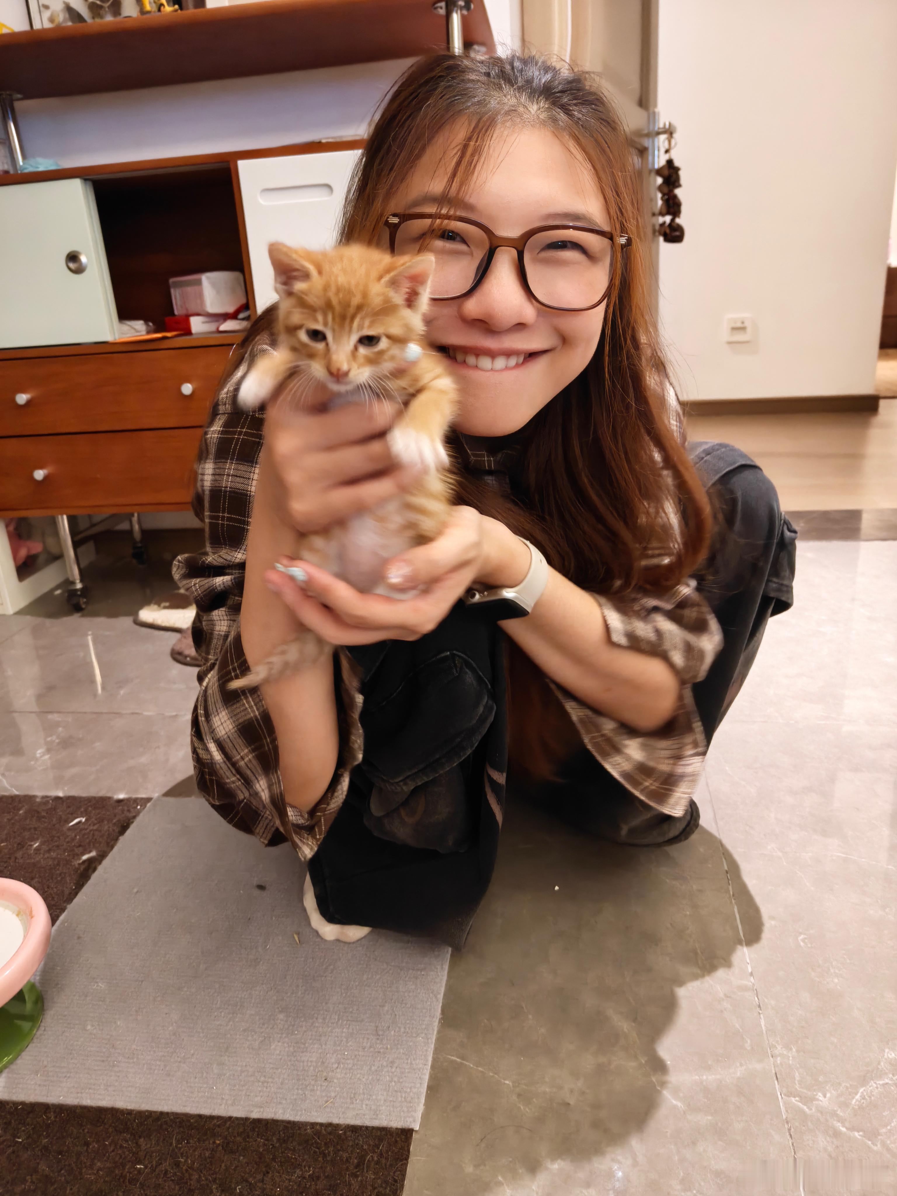 江浙沪有没有想领养鼻屎猫的，特别特别萌的一枚啊….. ​​​