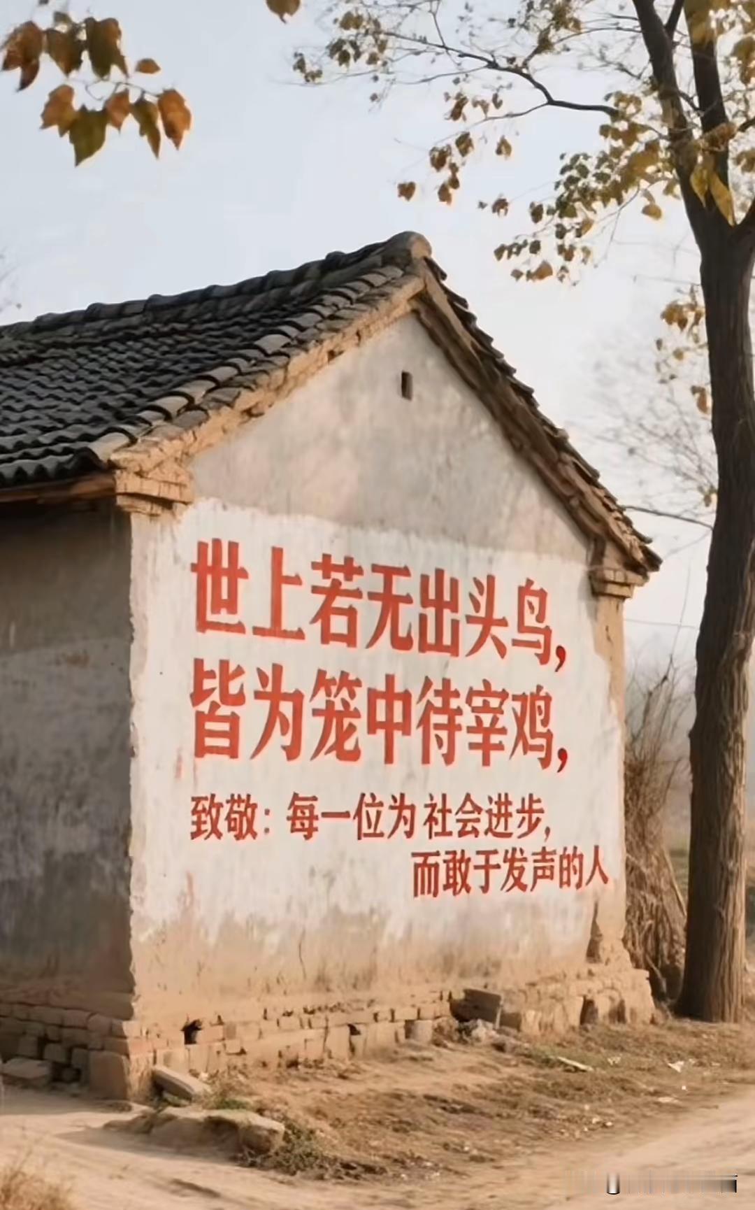 请尊重每一个勇敢追光的人，他们披荆斩棘得来的光芒，终将温暖你我前行的路。