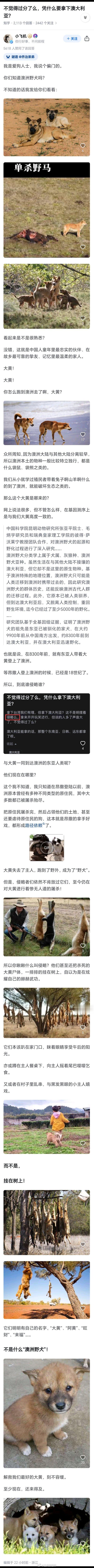 小动物保护组织呢 ​​​