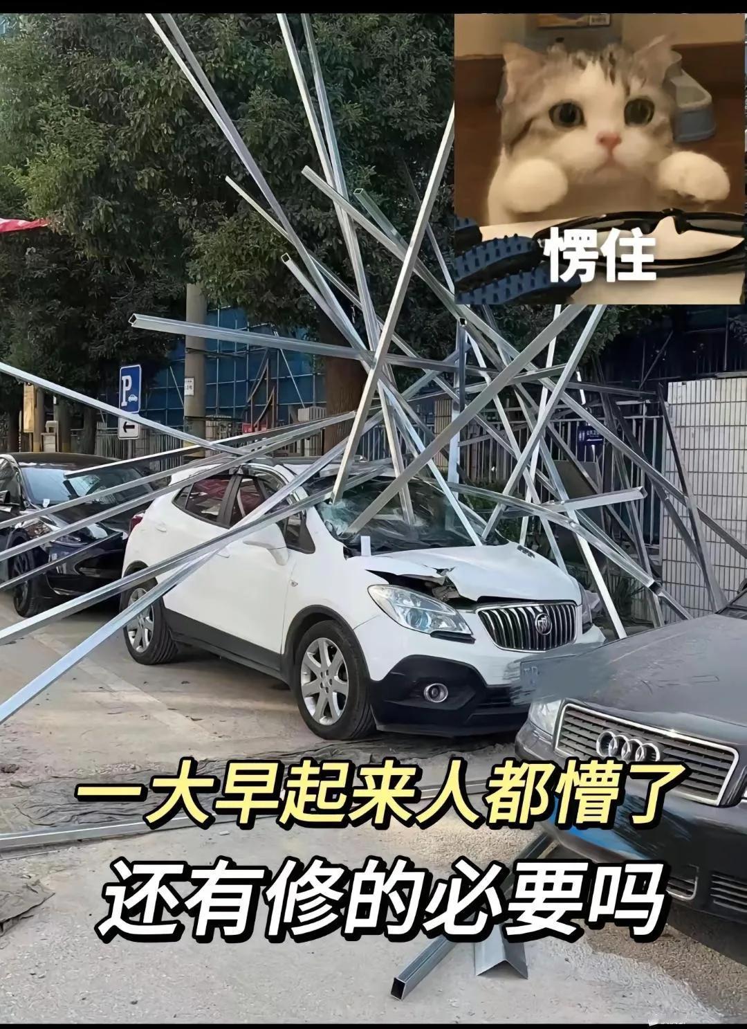 一大早起来都懵了