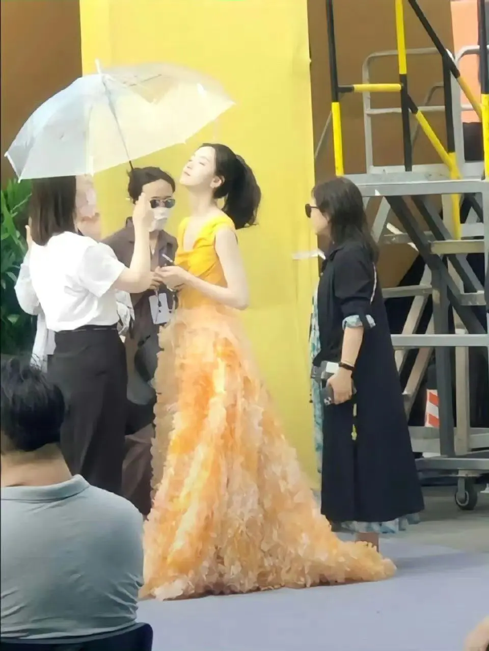 好明媚的太阳花楚朝