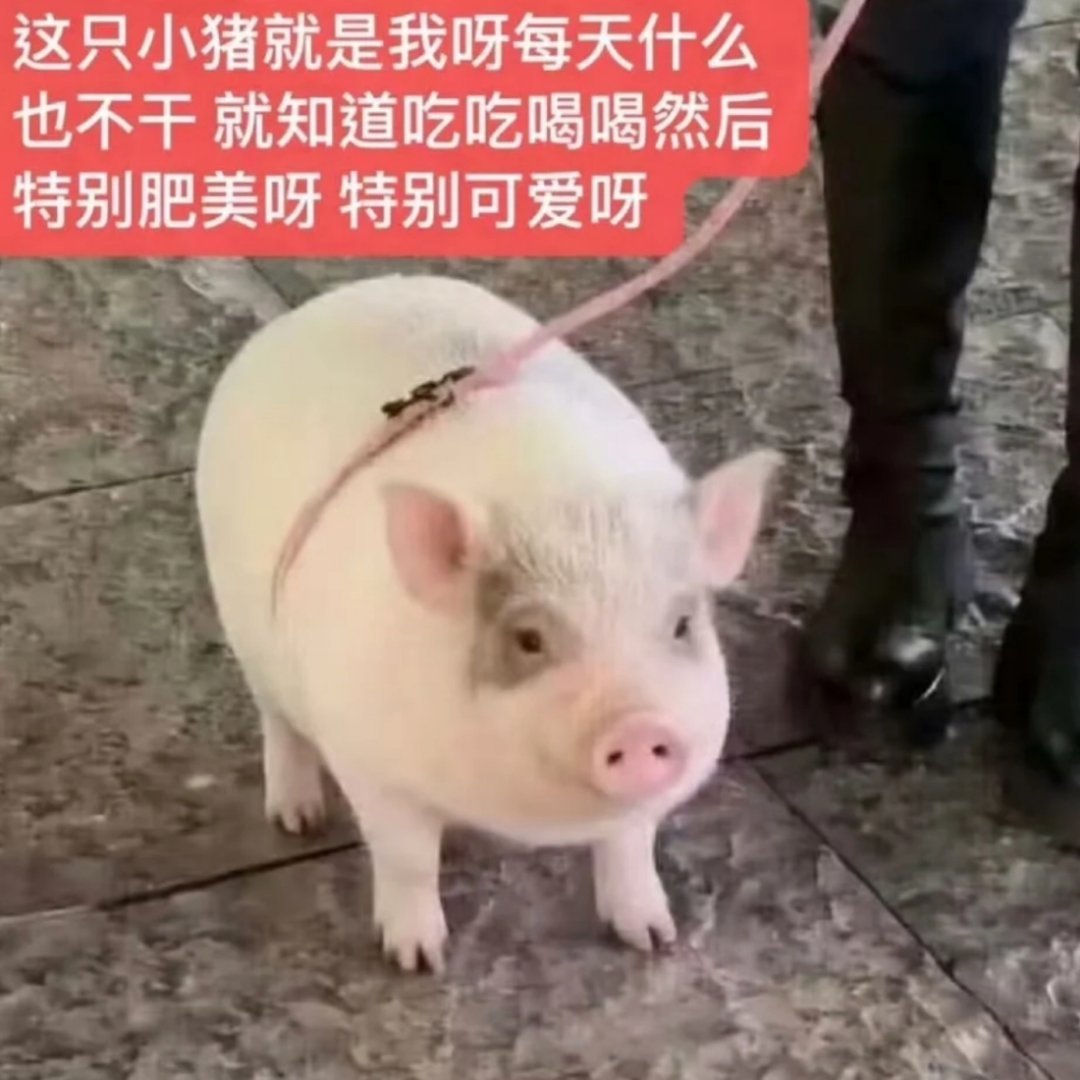 分享图片 