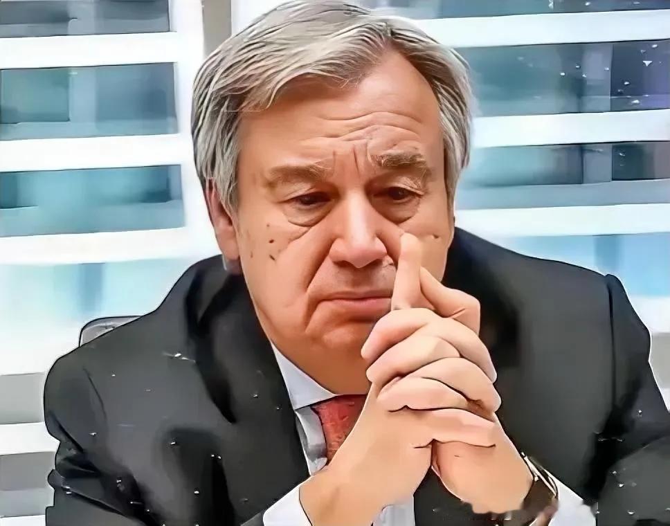 联合国最近自查，被自己“卷”到了！去年办了2.7万次会议，发了1100份报告 ，