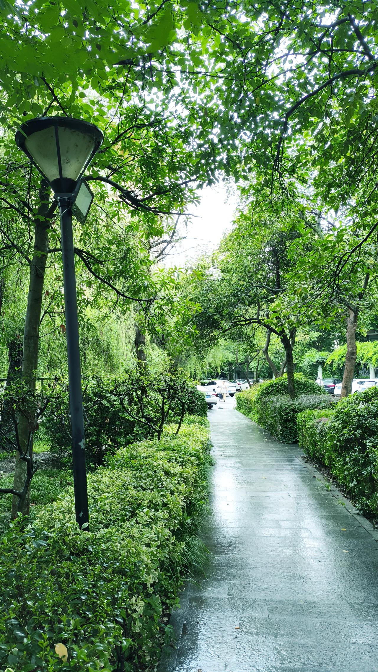工厂里，智能视觉系统让生产提质；医院中，AI辅助诊断守护健康；校园内，智能助教适