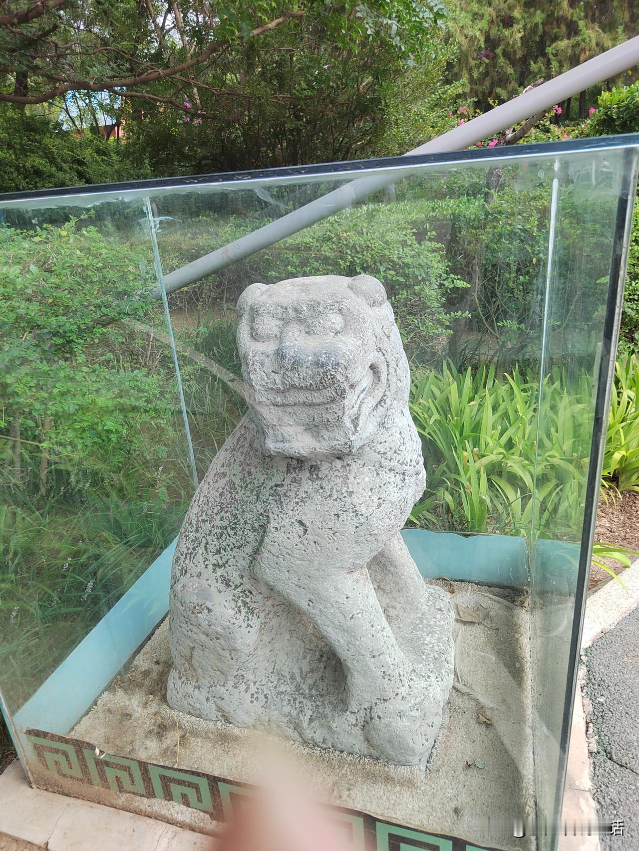 夏天晒背好吗？
前几天去公园锻炼。
见火热的太阳底下有一个人趴着，正在晒背！
因