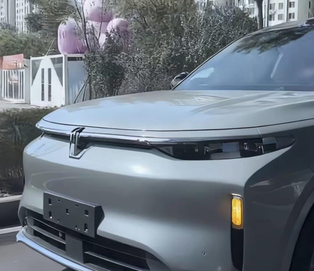 网上说，这是魏牌全尺寸SUV

别的不说，光看这前脸，我又恍惚了～

不看标，真