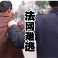 震撼！九年前手机被盗，警方坚持追踪终破案，赵女士获赔1100元背后隐藏的执法精神