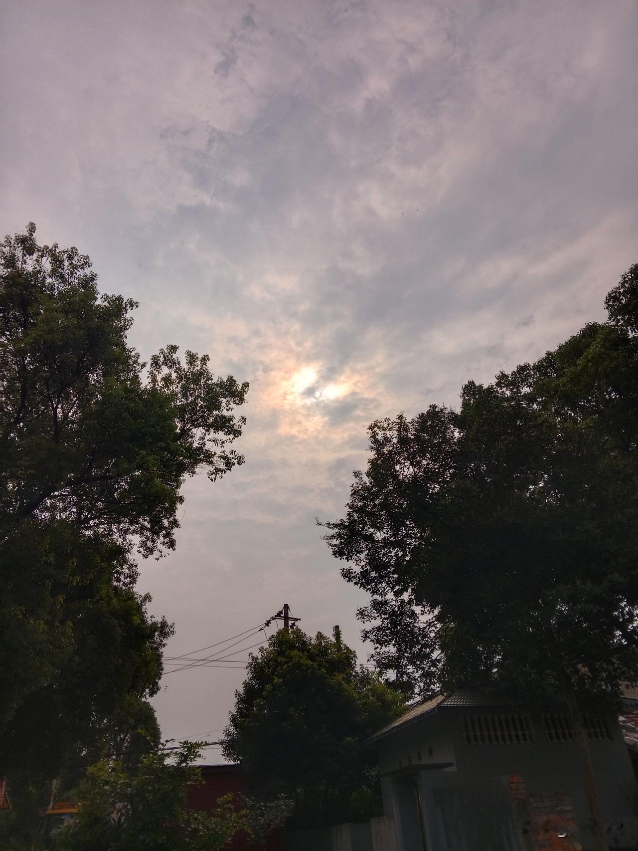 黑人真的适合体育运动吗？从天赋层面而言，确实有一定优势，但这并非全部原因。一旦进