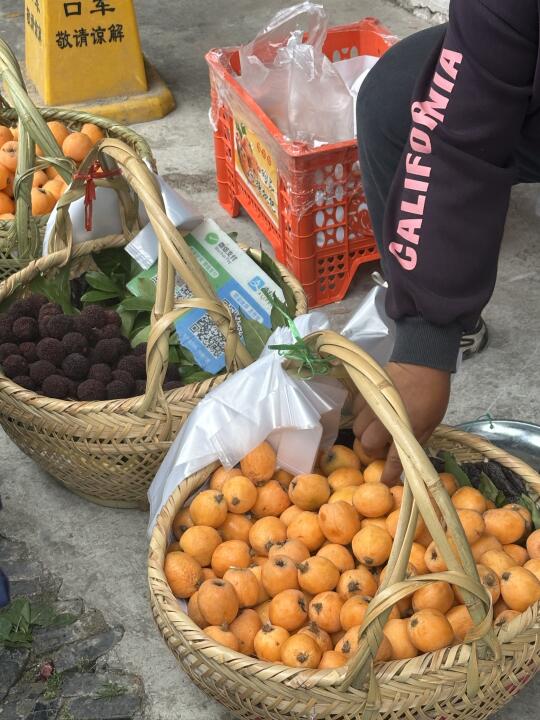 枇杷季当然要吃枇杷啦 新鲜采摘 枇杷 自由采摘的快乐 枇杷熟了 采枇杷的季节
