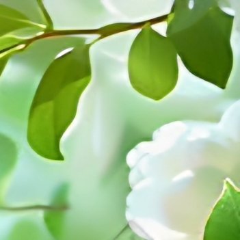 阳光信用｜每日一善一言一行，可辨人品；一朝一夕，可见人心。人与人最好的交往，必定