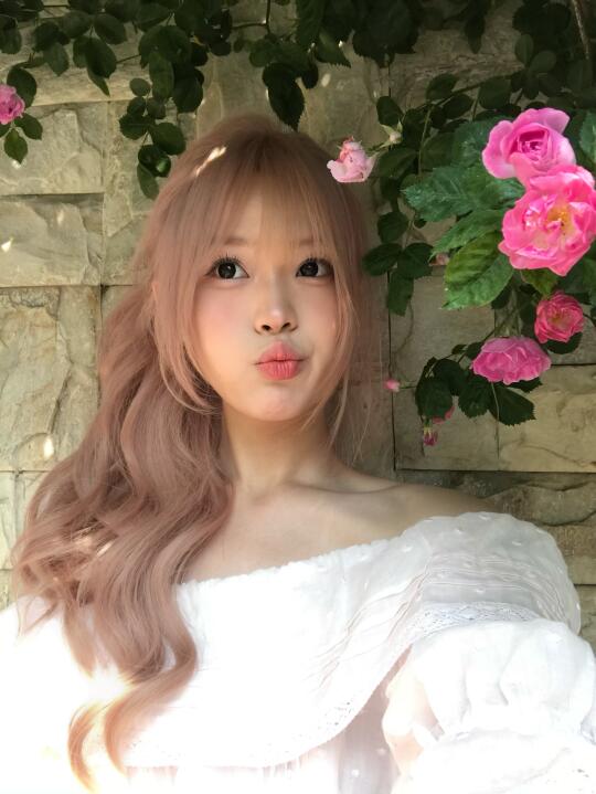 小小蔷薇花！拿下！