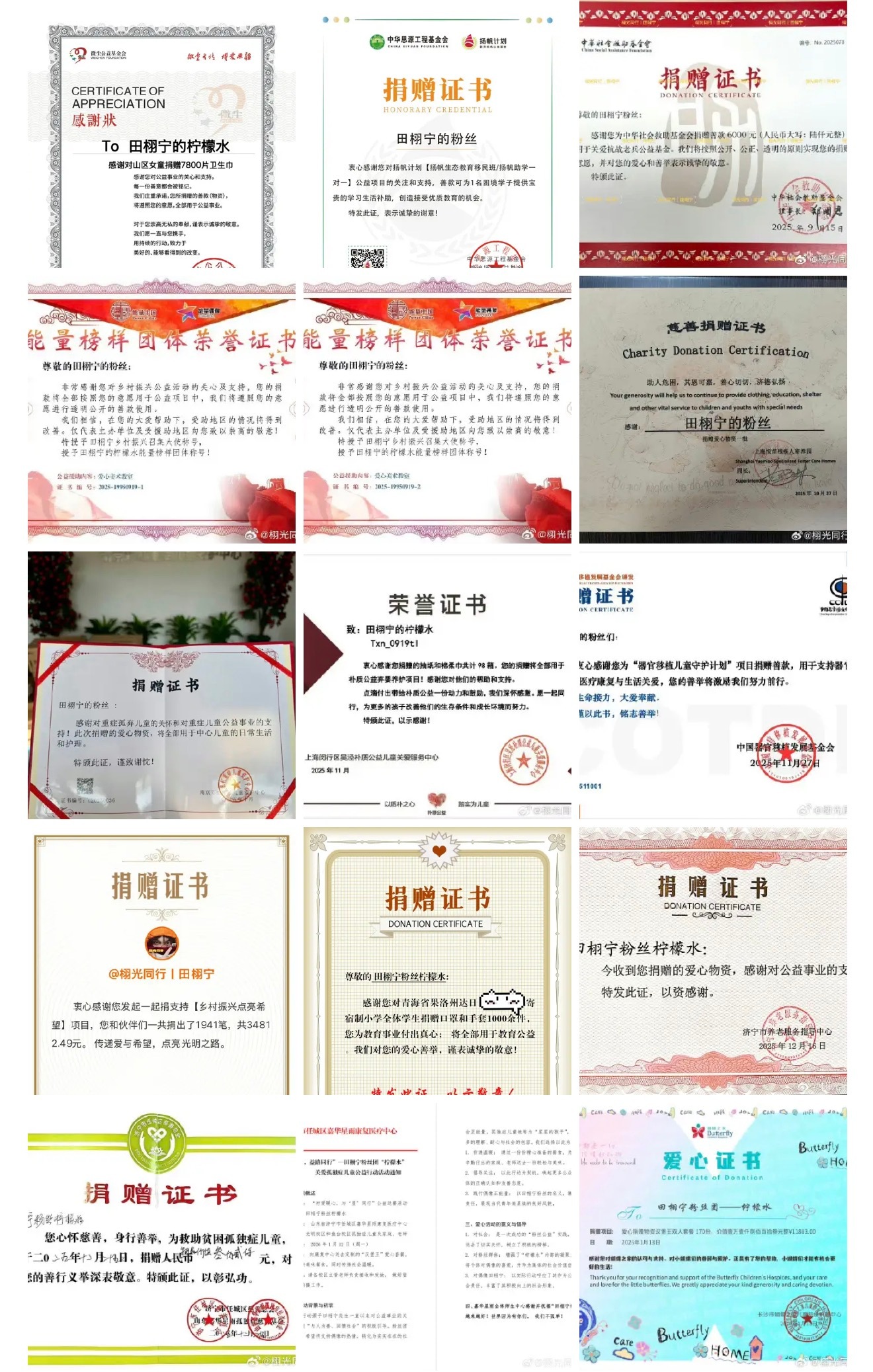 田栩宁柠檬水捐助罕见病患儿这张图里的田栩宁三个字既像托举又像底气，谁懂。默默捐款