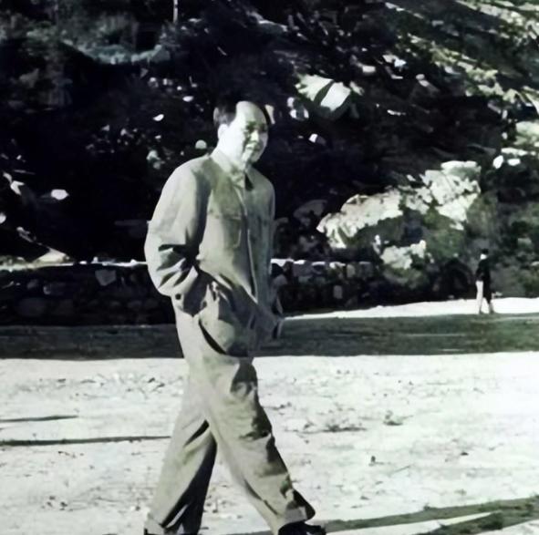 1950年，一女子走投无路时，突然想起丈夫去世前的叮嘱，她抱着试一试的心态给毛主