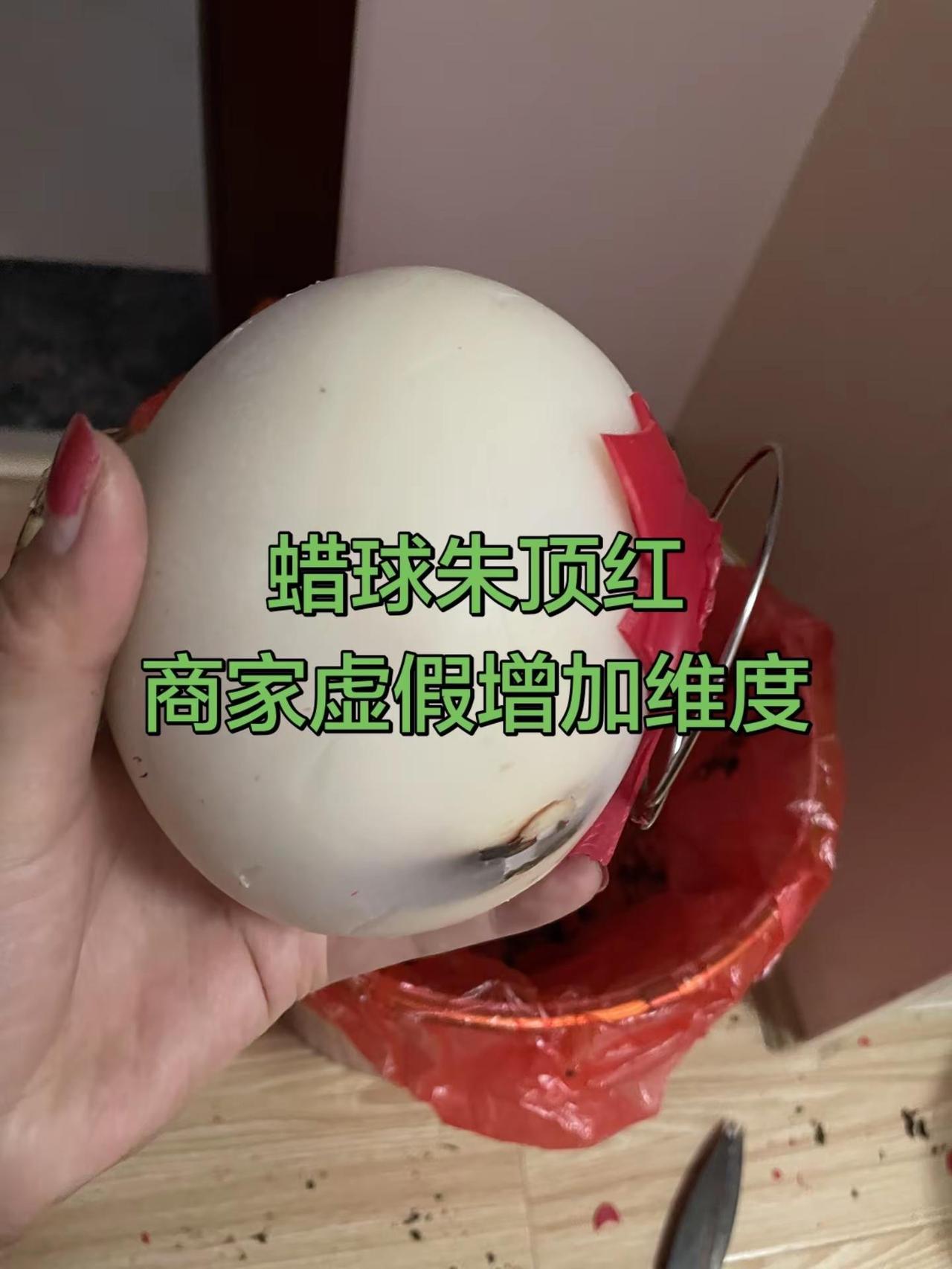 买蜡球朱顶红被骗 蜡球朱顶红 朱顶红 今年的蜡球朱顶红买失败了拆了见分晓