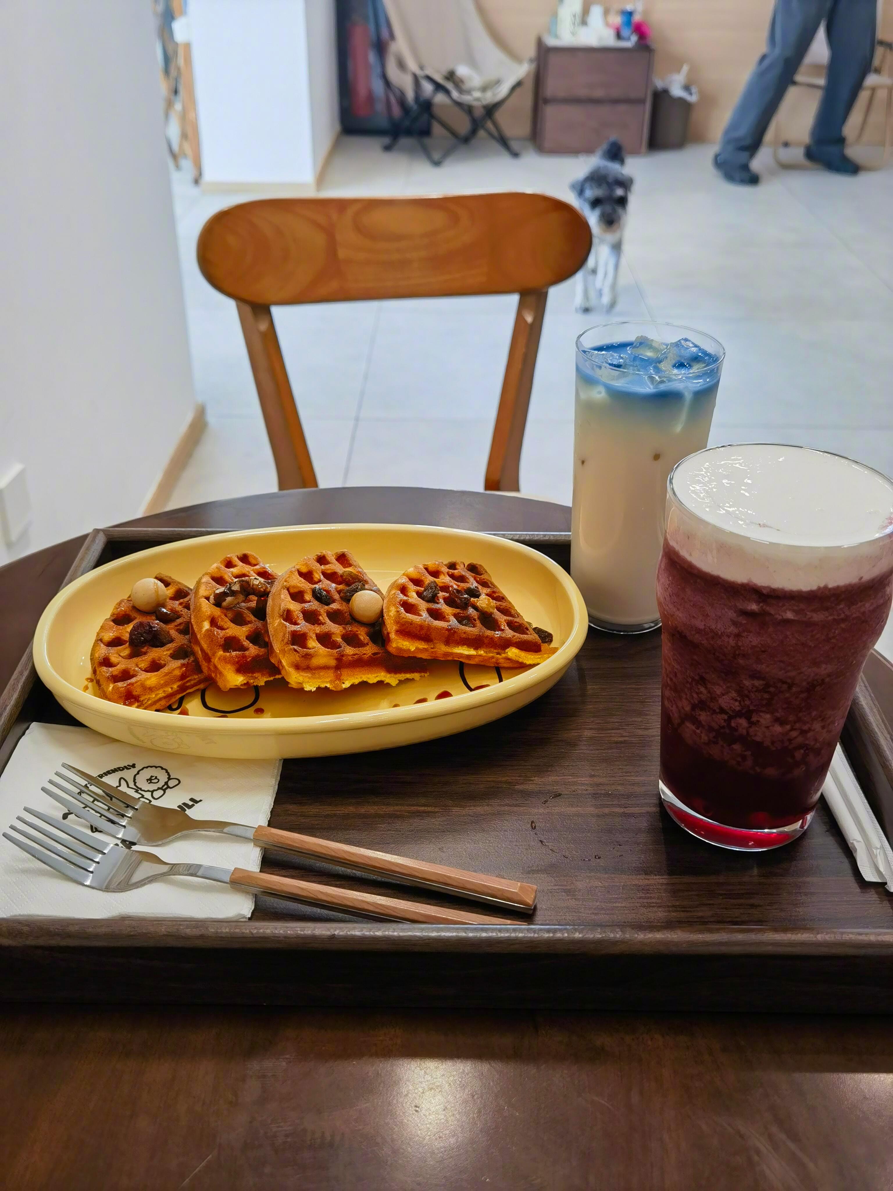 小猫小狗真的太好撸啦 