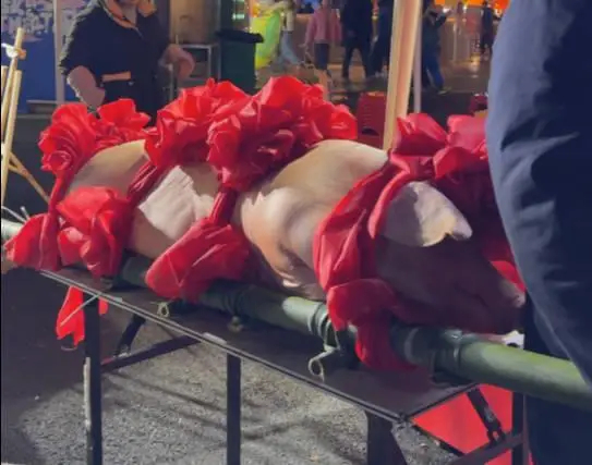 男子吃辣比赛夺冠赢得一头大肥猪【跨年夜重庆举行吃辣比赛，新疆游客夺冠赢得一头30