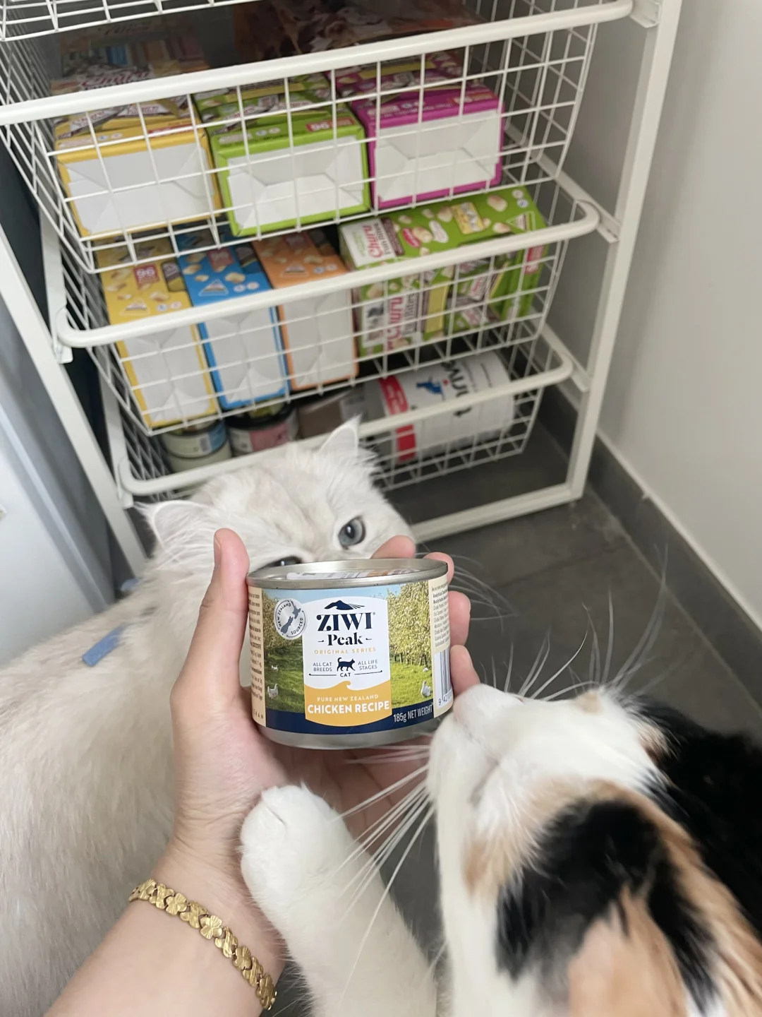 ziwi巅峰鸡肉罐头