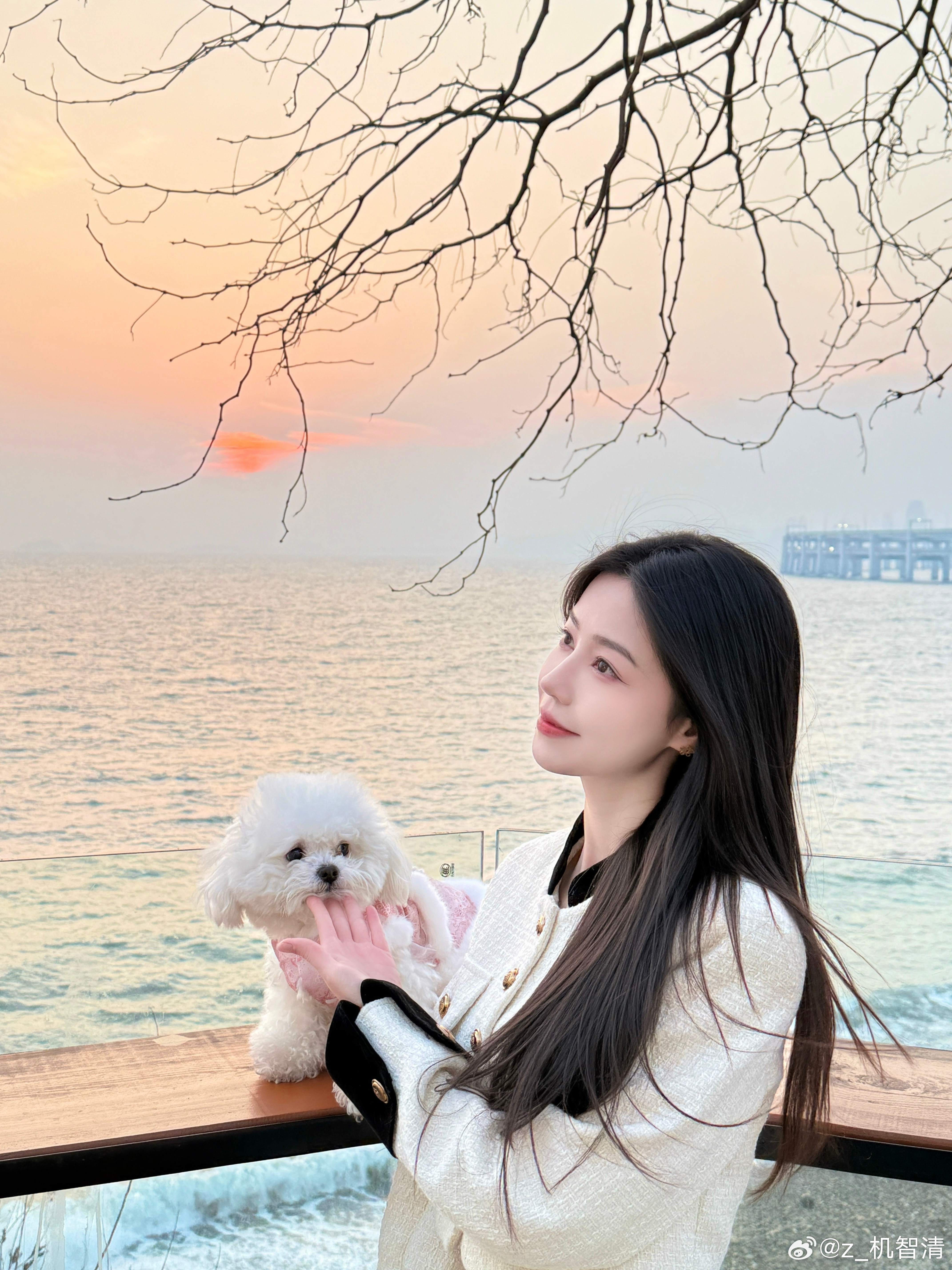 天气那么好当然要出门啦海边落日海鸥 周末愉快 大连·银沙滩公园