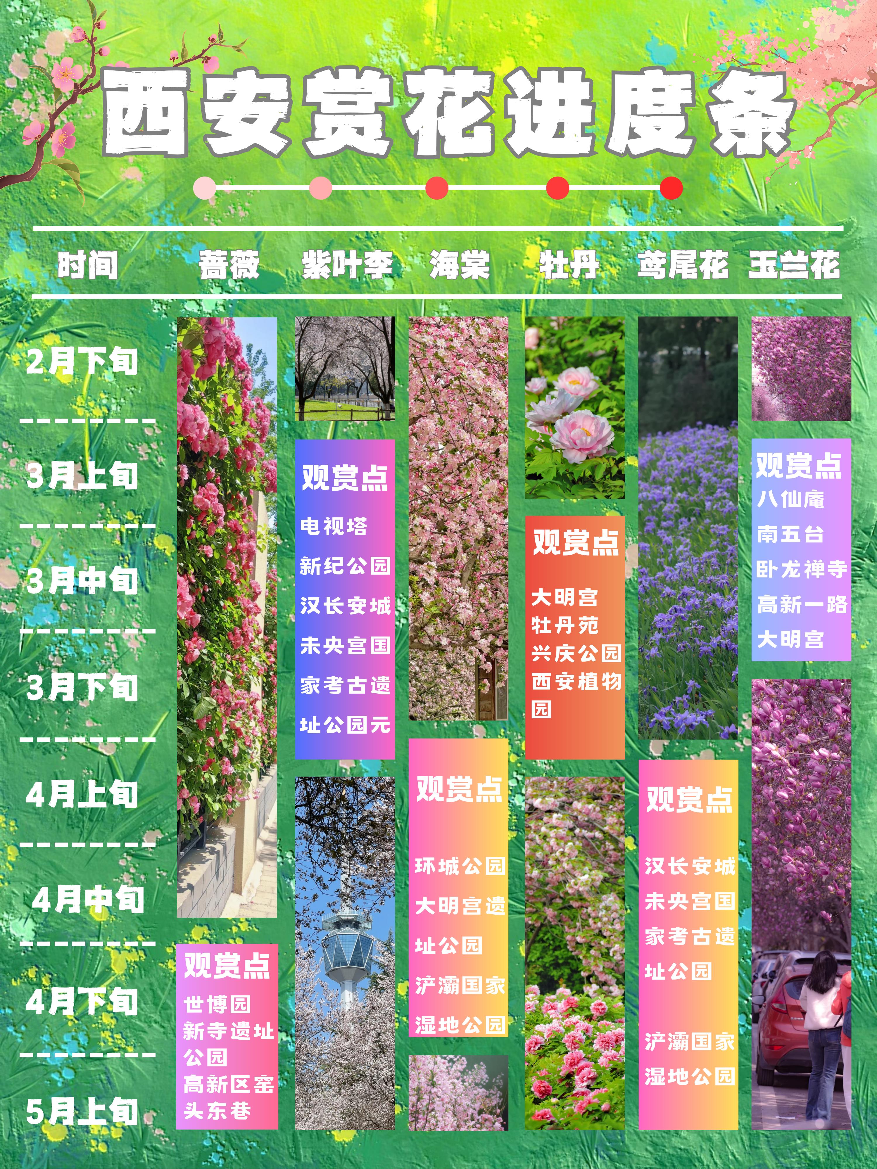 26西安赏春进度条🌸3~5月打卡不跑空。📢西安的春天太治愈啦🌿 ...