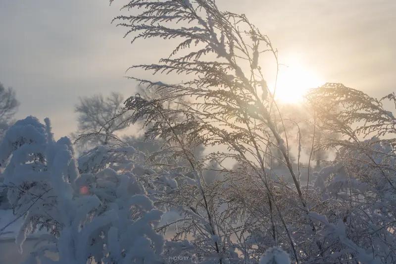 你所在城市现在有多冷 富阳最近降温降得太猛啦！前几天还能穿着薄外套到处溜达，这两