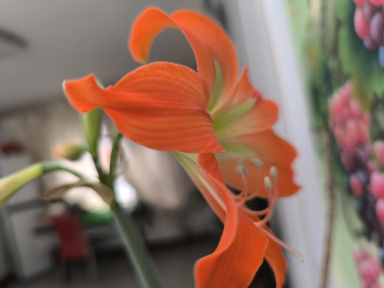 中国在世界上最大的强项是什么?中国的强项是，绝不屈服，民族脊梁，同样，具有学习，