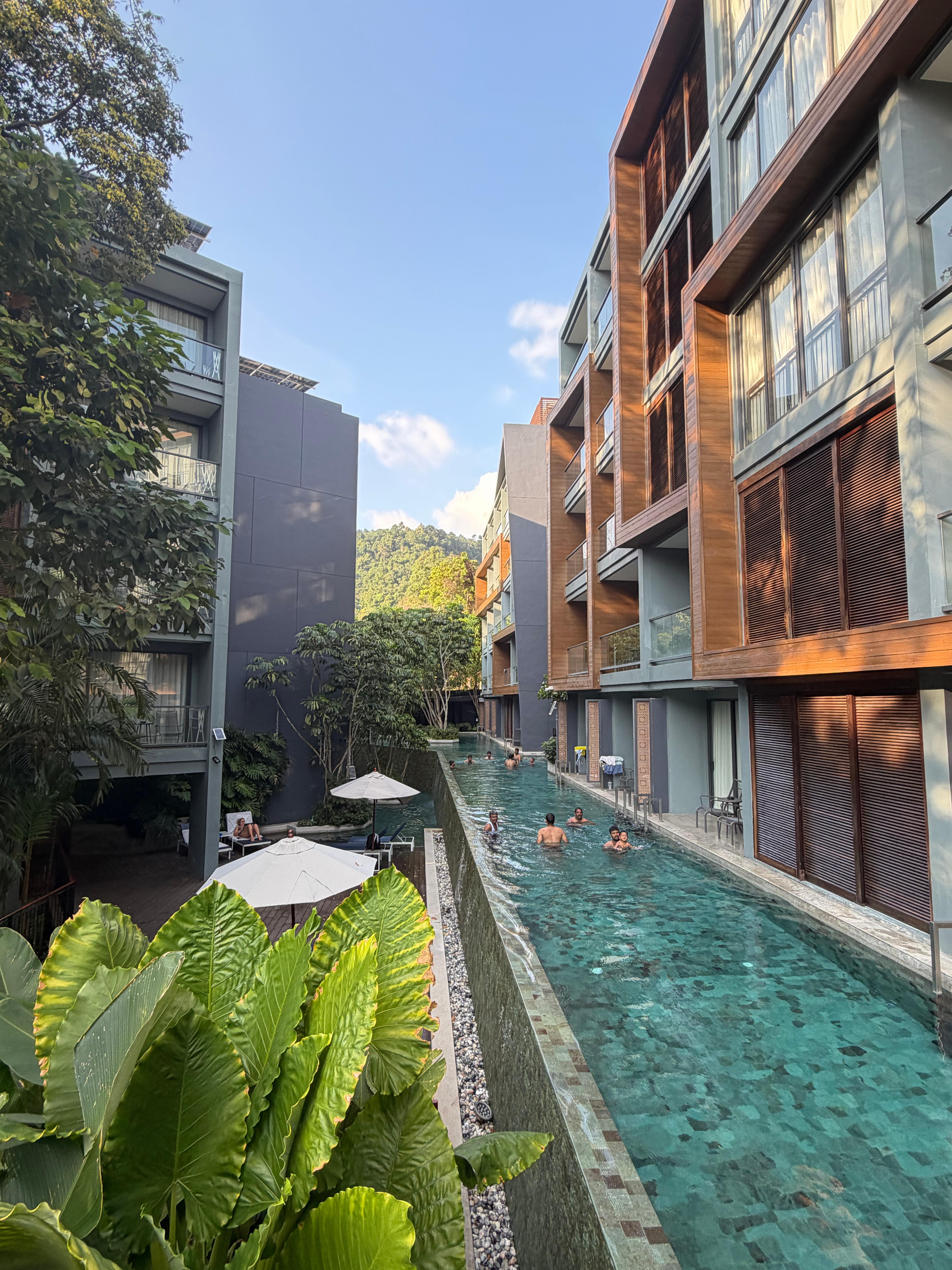 2026新年住nature酒店那今年就要发nature了哈（子刊也行） 泰国·P