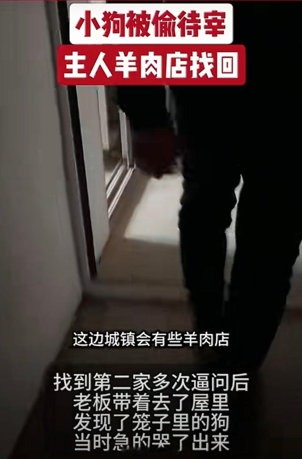 小狗被偷待宰主人羊肉店找回真应了那句老话：“挂羊头卖狗肉”！这些偷狗贼，实在是太