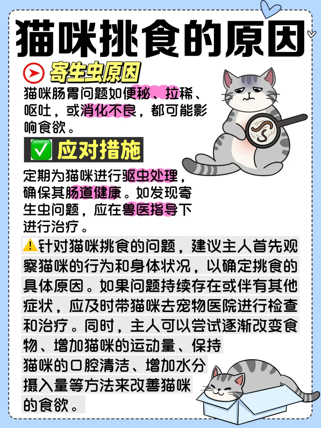 🐱猫咪挑食大作战！爆改挑食猫很简单