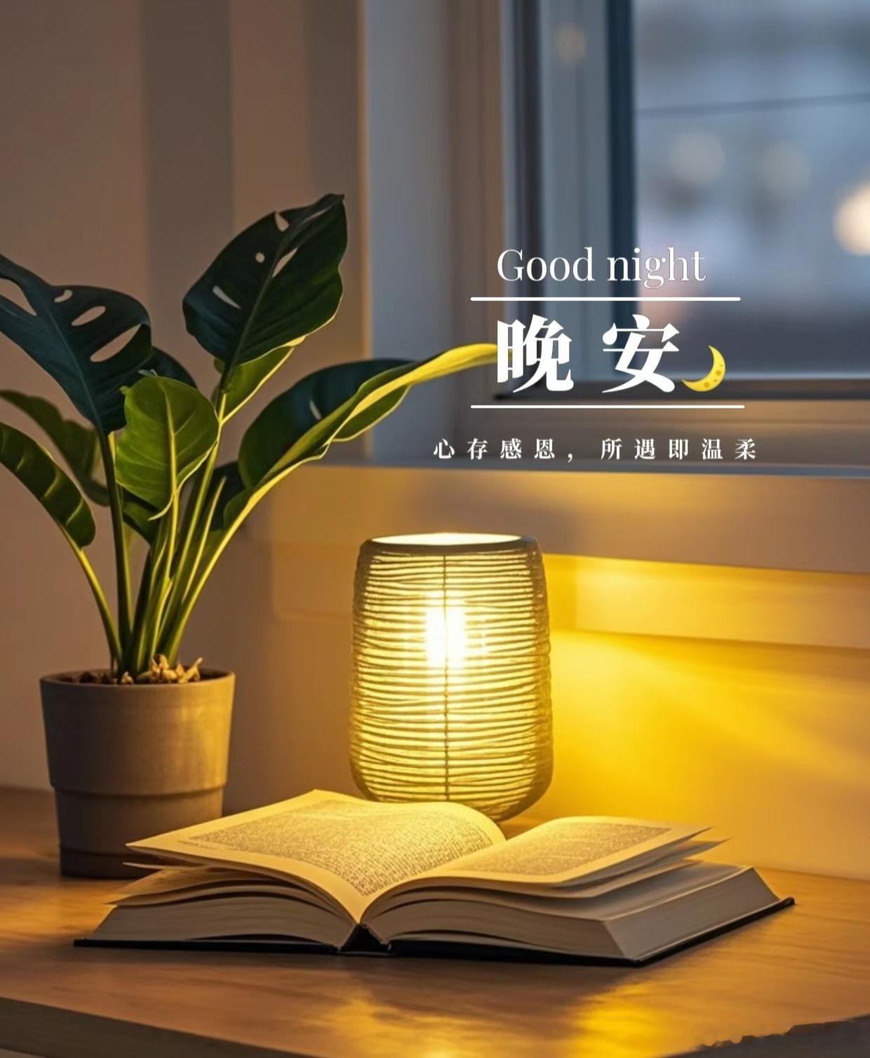 晚安[月亮][月亮]明天继续吃肉[酷][酷] ​​​
