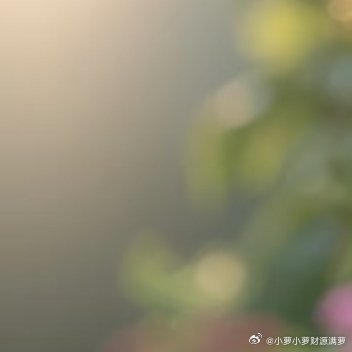 人生不止一个方向，你可以恣意生长，叱咤四方，也可以踏踏实实，细水长流，要相信日日