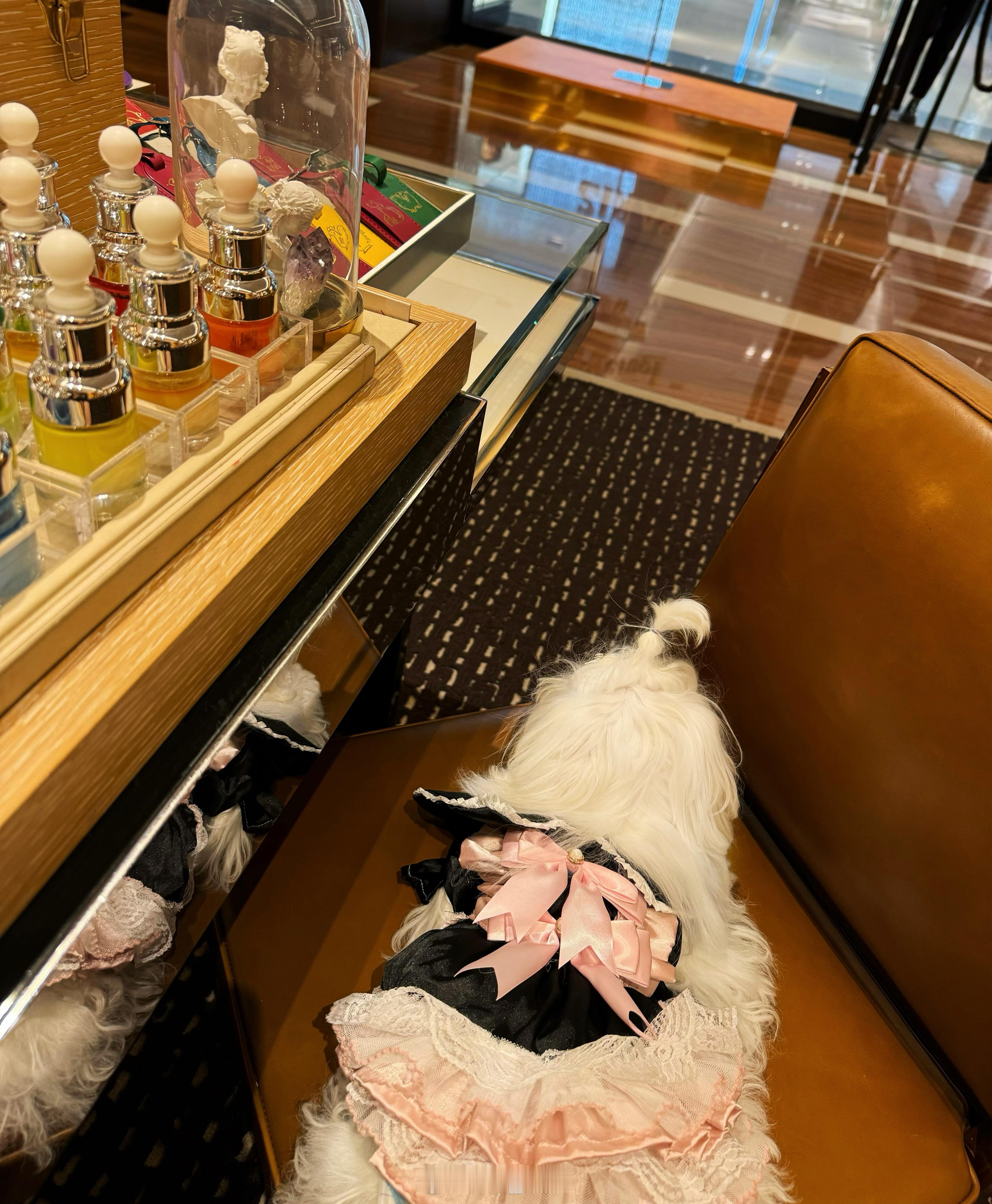 我的宝宝只要永远健康就好🐷 ​​​