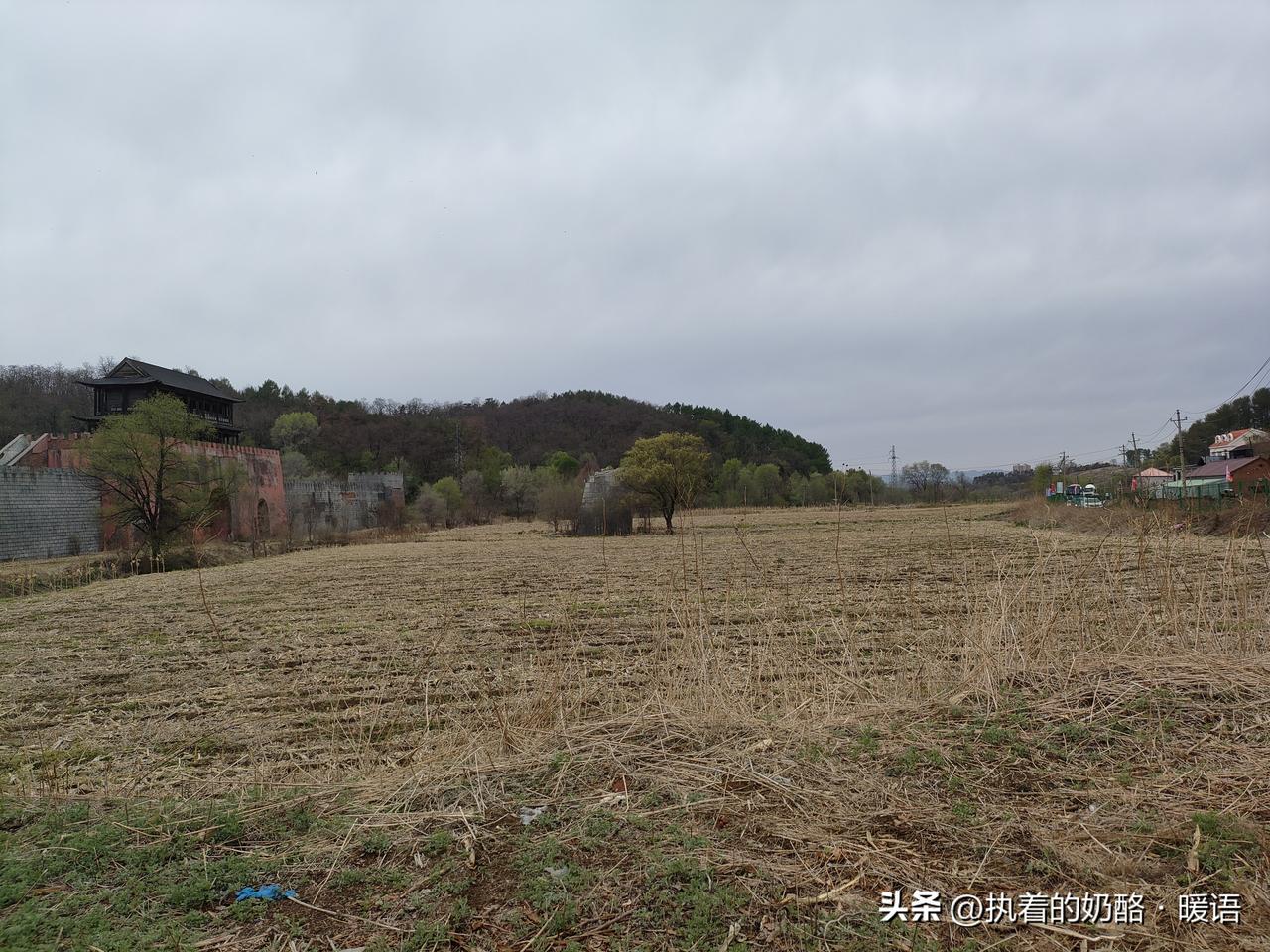 来到了大伙尿水库边的度假村，此刻正在空旷处散步。

这里的空气真好，清新干净，带