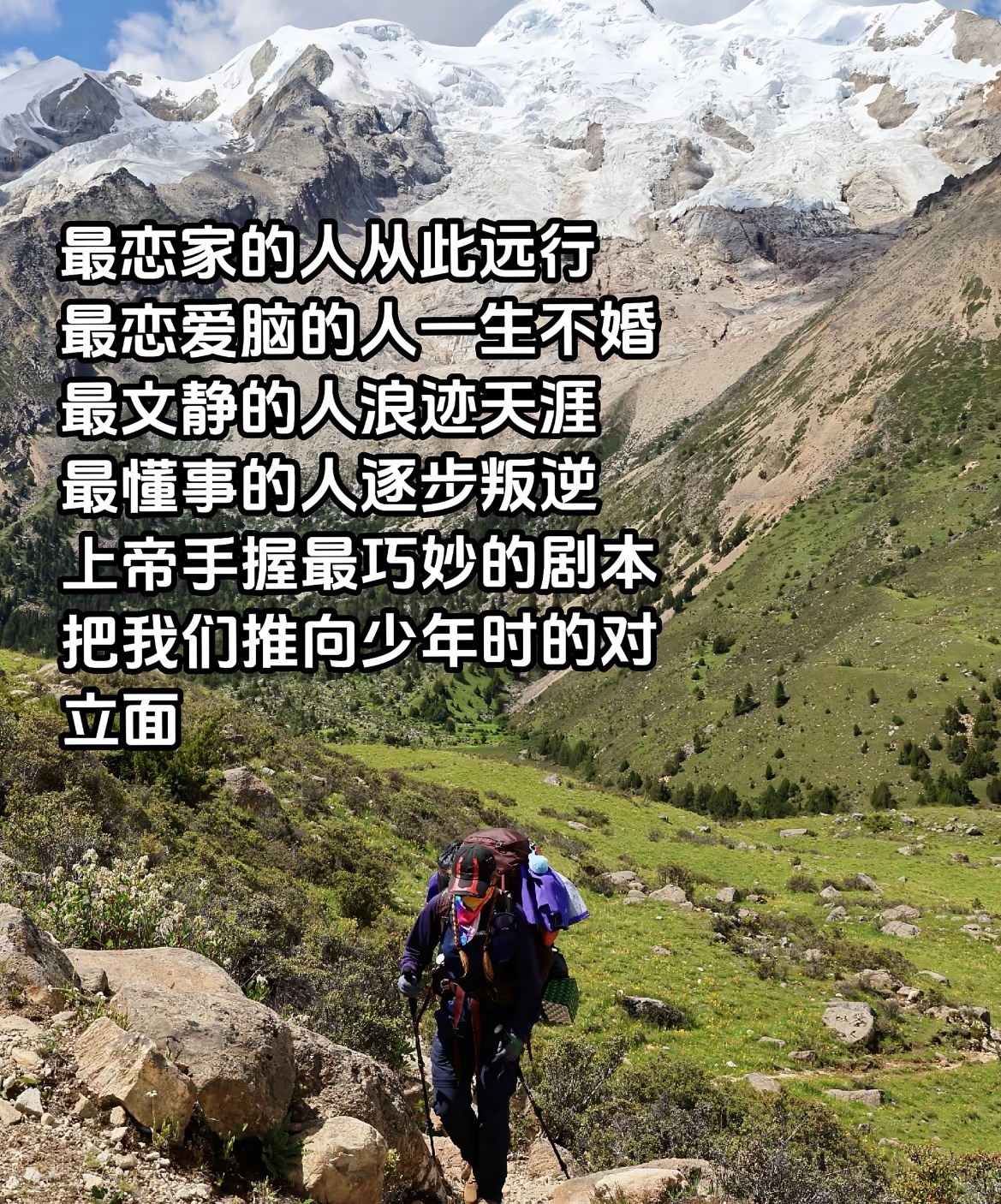人生就是一场巨大的事与愿违😭 