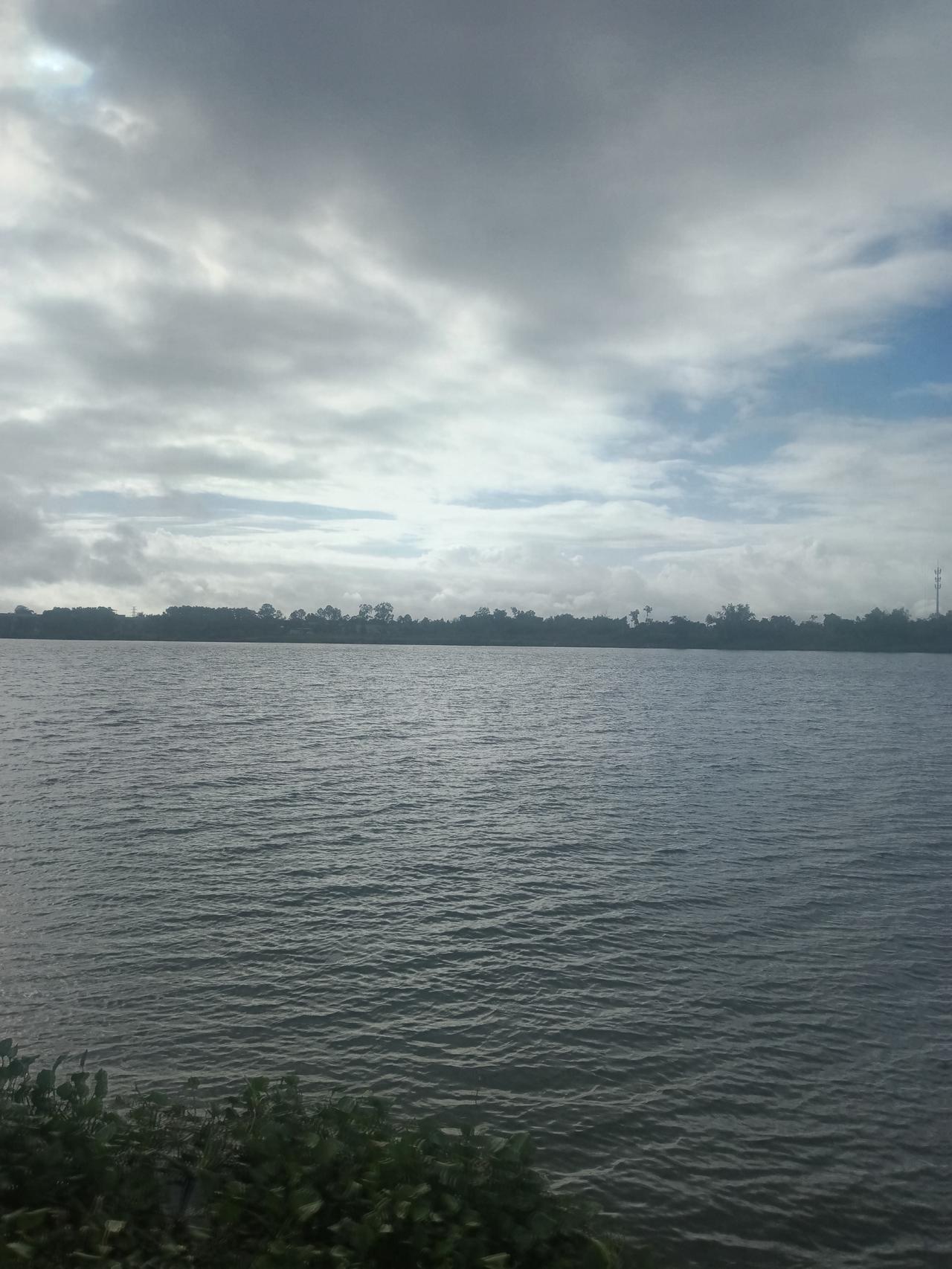 台风过境。
这次台风静消消，阳光羞羞半开闭。
一飘乌云一飘雨，闷雷群响天边际。