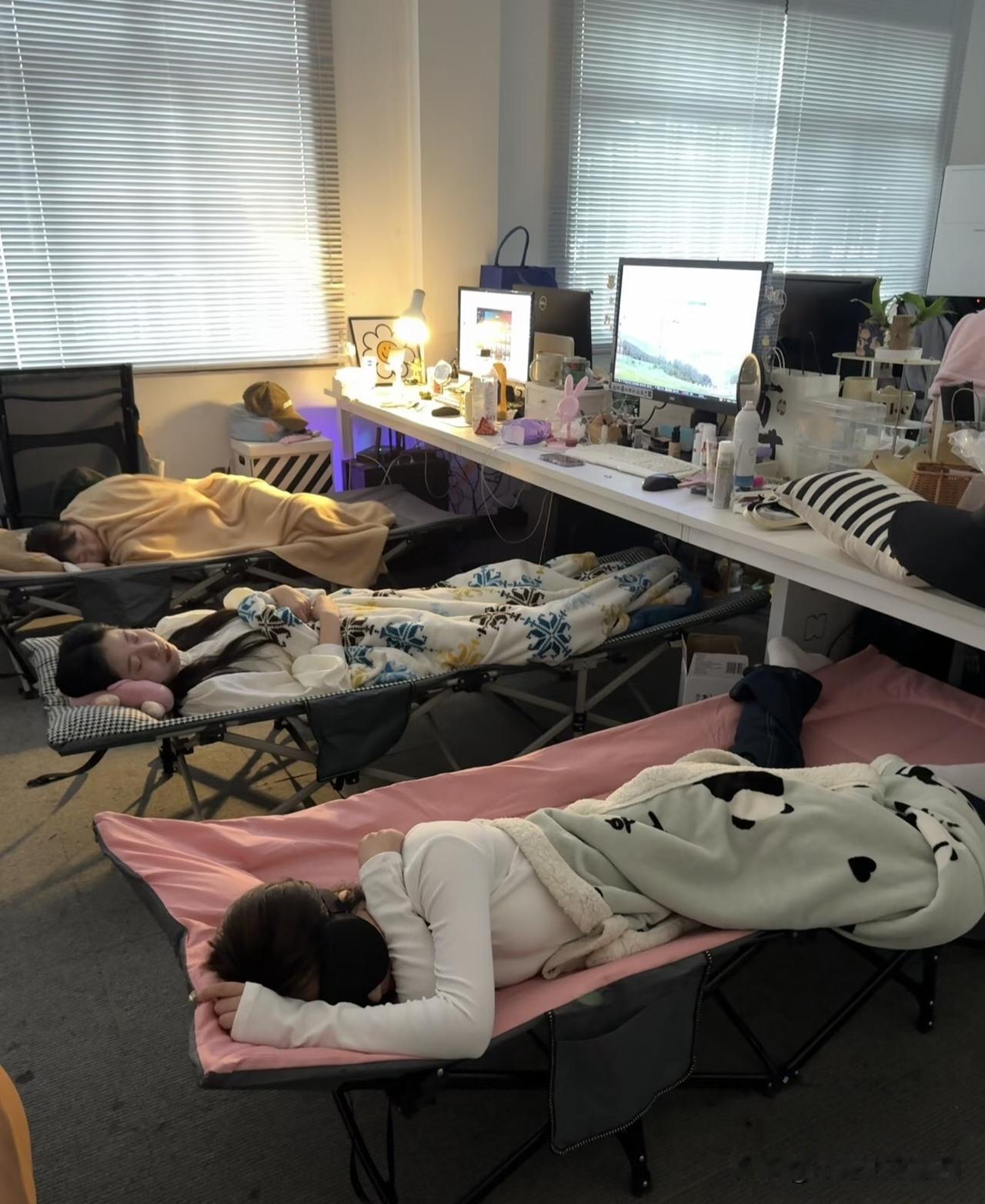 饭后大家都抓紧时间补眠去了[哈欠]