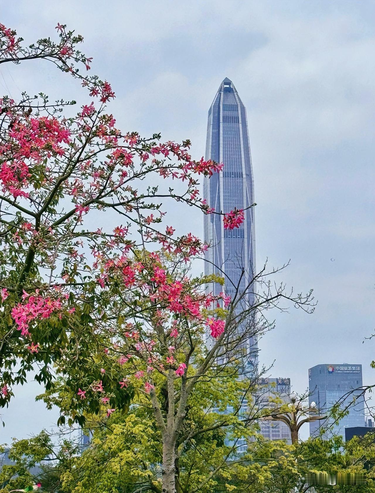 （1451）：孩子，早上好。今天天气阴沉，没有阳光，感觉很差劲，如果有太阳，欣赏