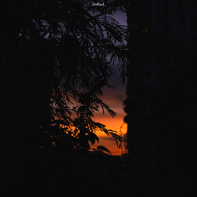 「集句」有哪些支撑你走了很远的励志句子？1、等风来，不如追风去。  2、借力，吃