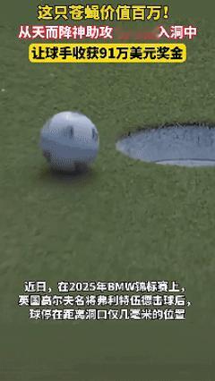 一只苍蝇帮他赚了91万美金？英国一场高尔夫球赛中，一名选手把球打到了离洞口几毫米
