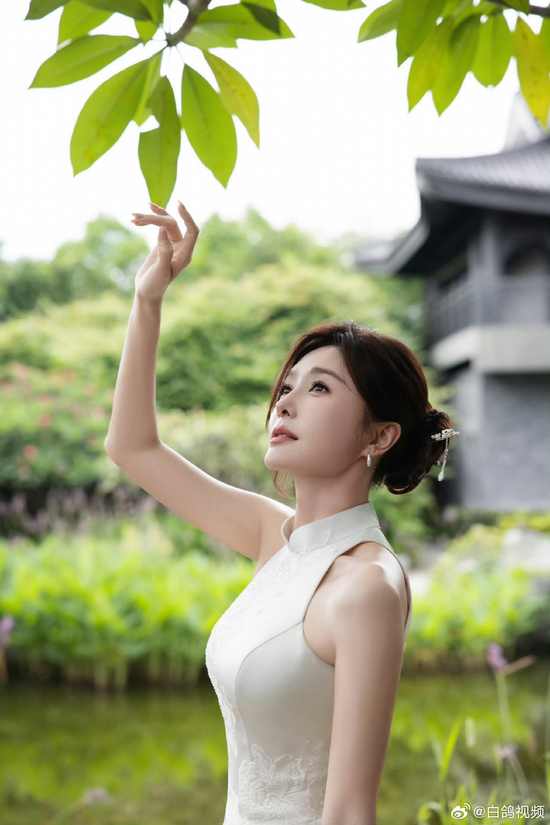 秦岚旗袍美人 秦岚东方韵味终于知道秦岚冻龄的秘密了，一袭白旗袍尽显温婉大气，东方