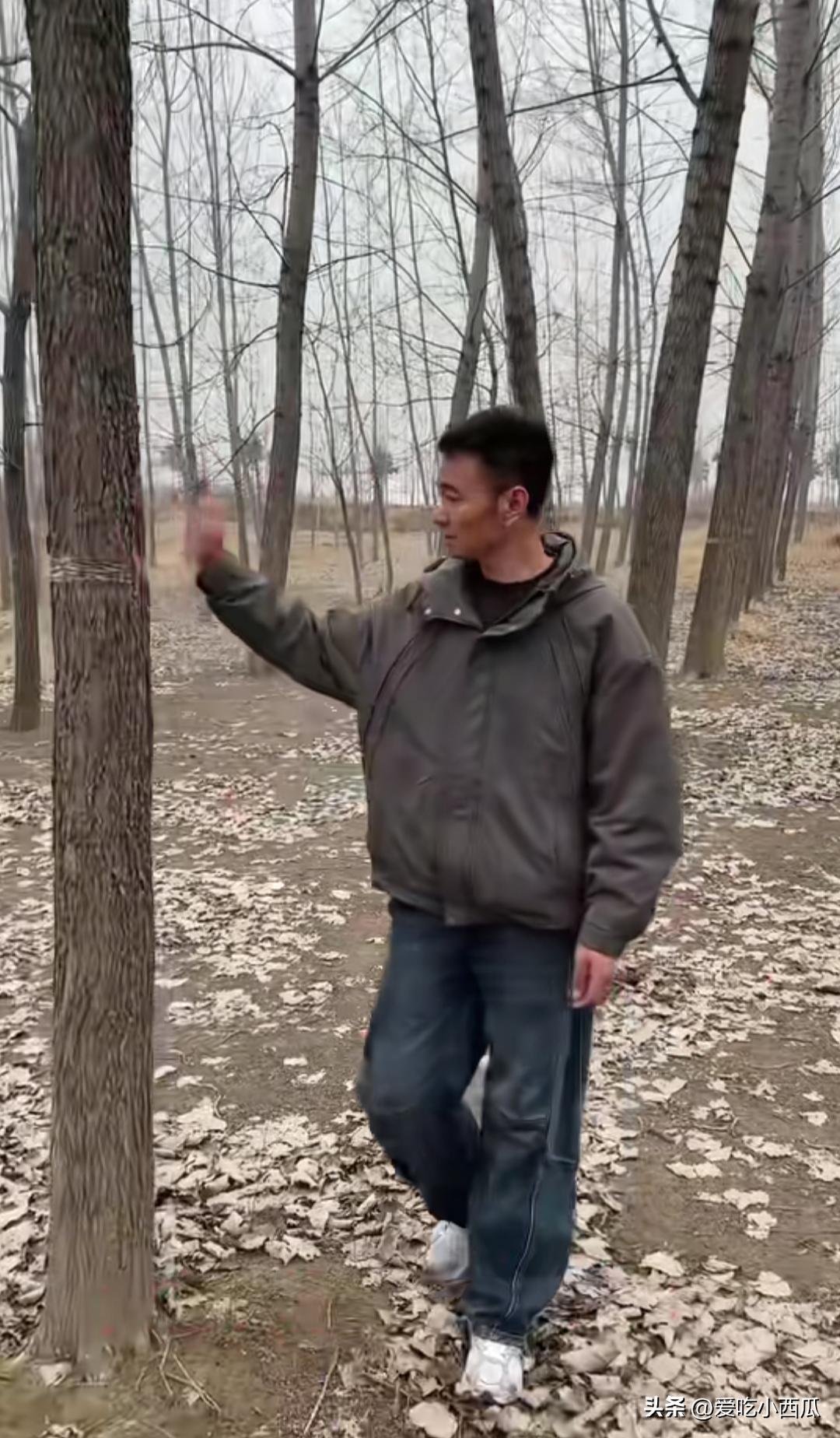 厉怀远（网名怀远或厉老二）与妻子林丽的婚姻危机，虽在公众视野中披露，却折射出现代