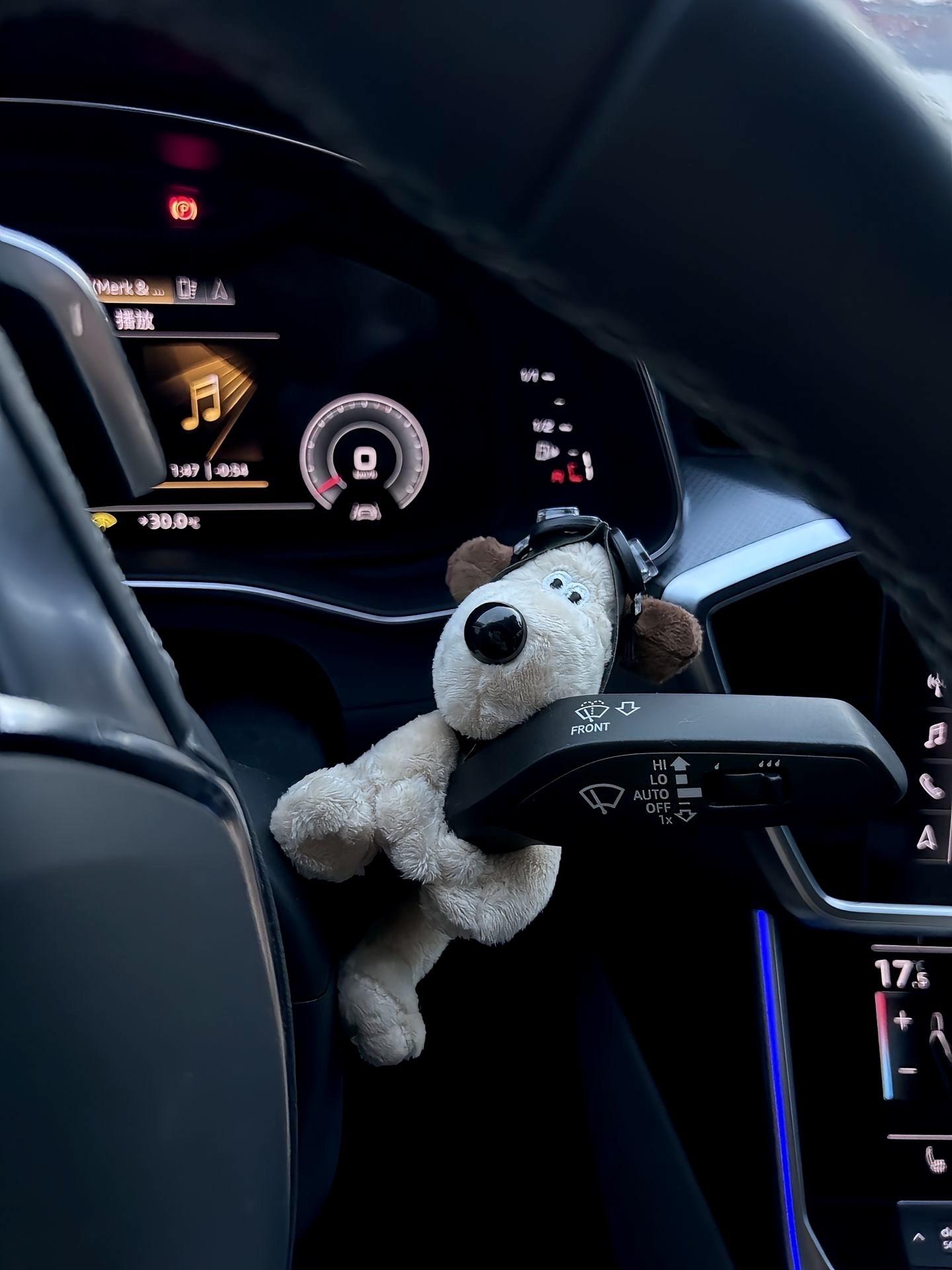 哈哈好可爱的小狗，放在车上真好看