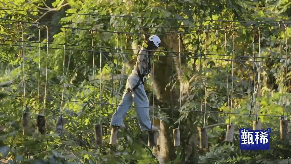 王影璐夏梦高山流水遇知音胆量真的惊到我，全程淡定又快乐哈哈哈哈哈