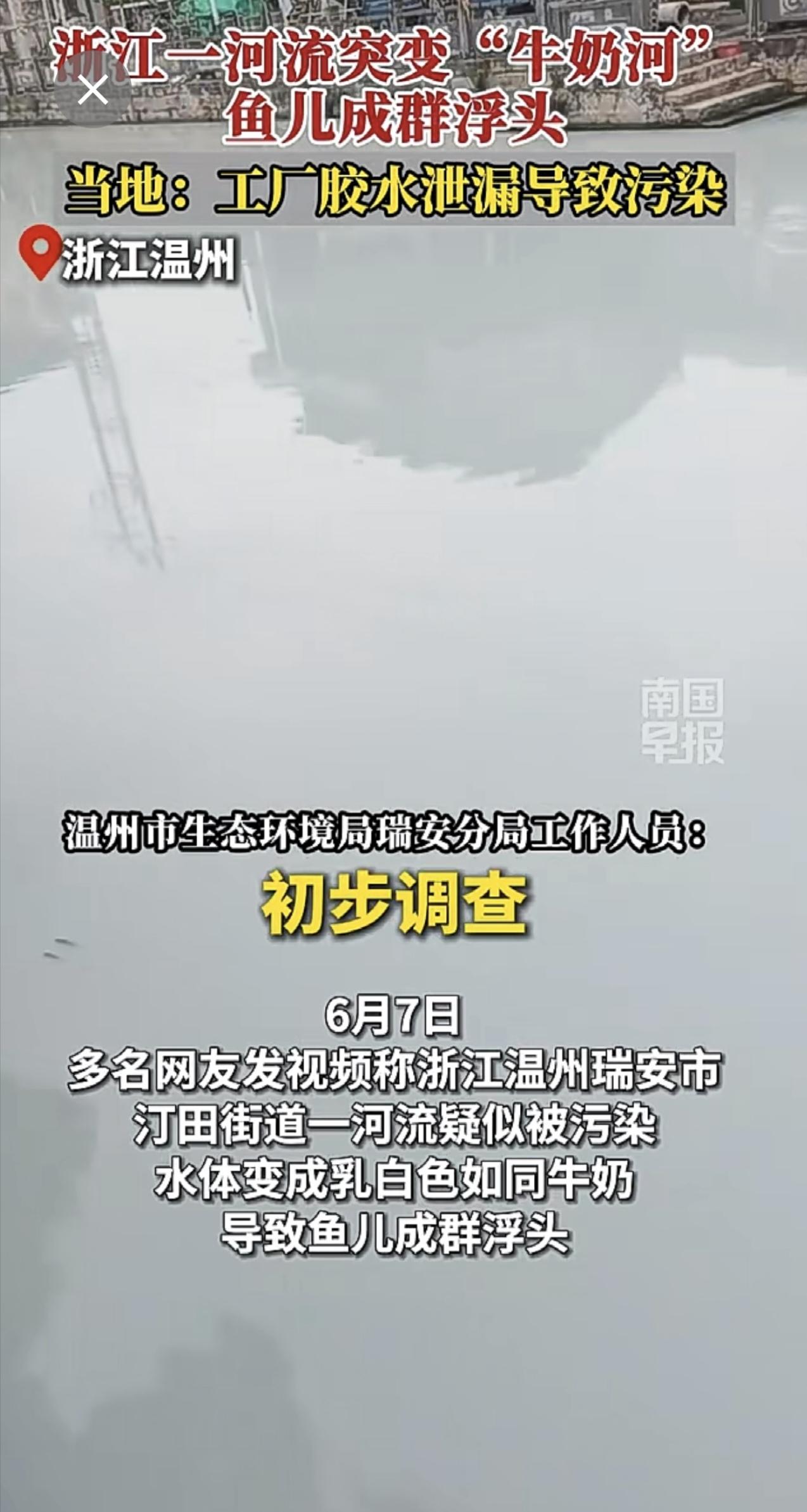 浙江一河流突变“牛奶河”，鱼儿成群浮头，当地：工厂胶水泄漏导致污染浙江胶水工厂泄