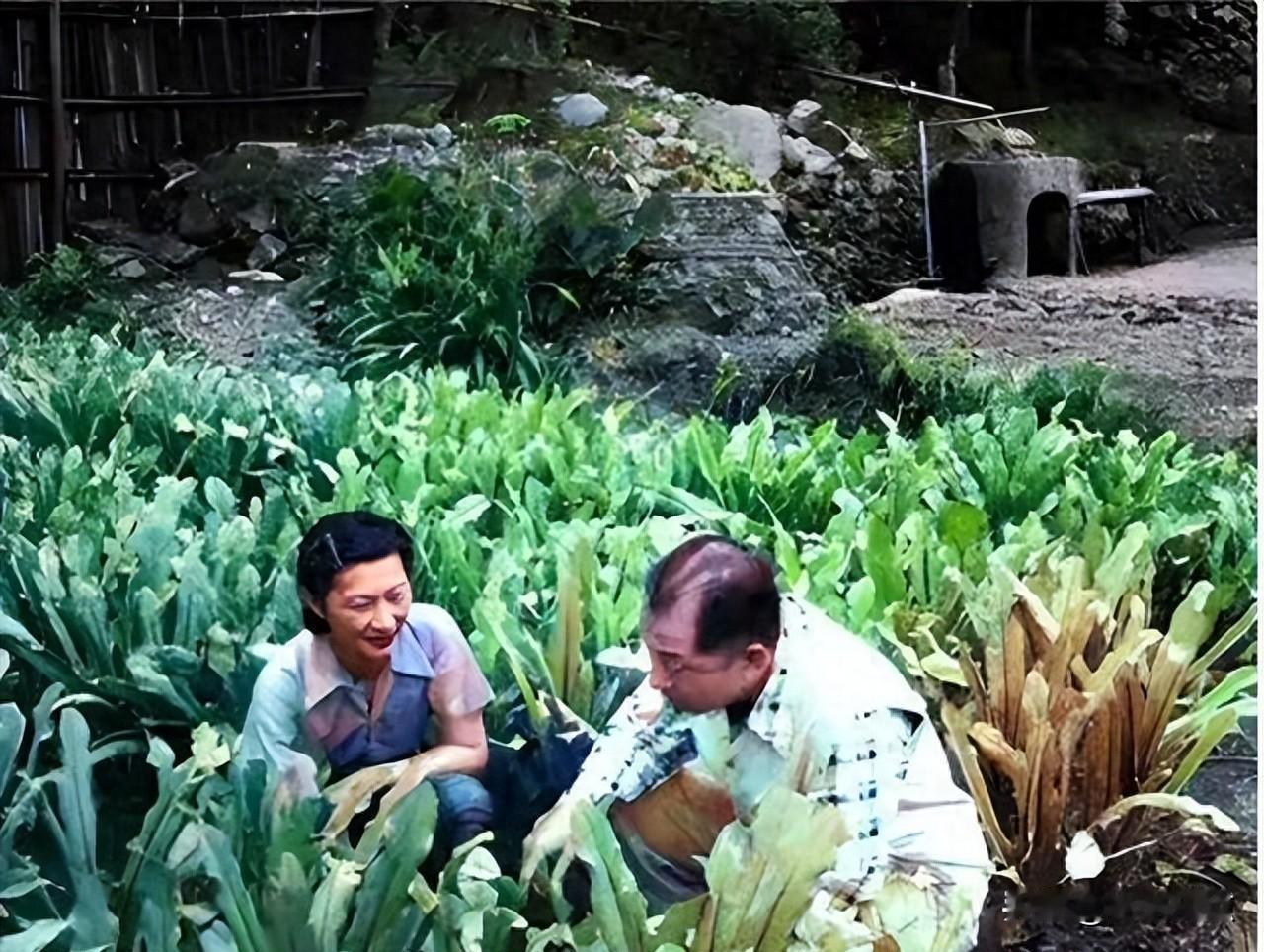 一张照片里他打球，旁边站个拿相机的人，赵一荻穿得整整齐齐，可床单在贵州发了霉。