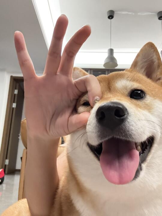 跟我数321！看镜头 咔嚓📸