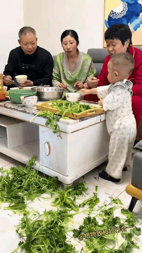 饭桌上孩子把青菜扔得满地都是，爷爷奶奶笑着纵容，亲妈也睁一只眼闭一只眼，一句“孩