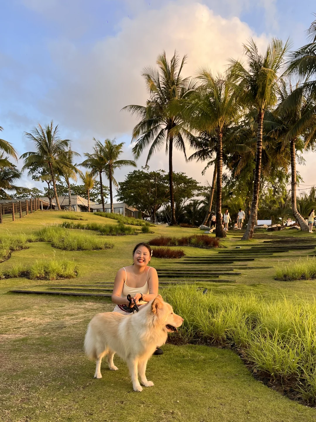 🌴海岛日记 | 小狗🐕和太极站桩体验的下午